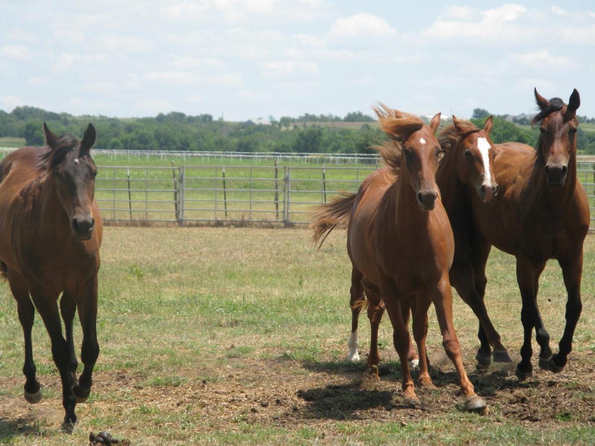 Agriturismo Monsereno Horses Imbersago Kültér fotó